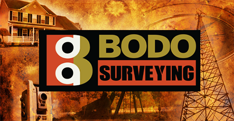 Bodo Surveying Website
